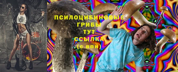 шишки Абинск
