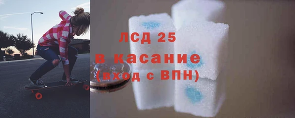 шишки Абинск